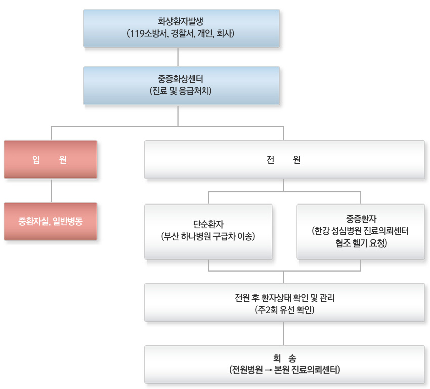 화상환자 진료 절차